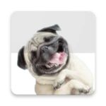 stickers pugs android application logo